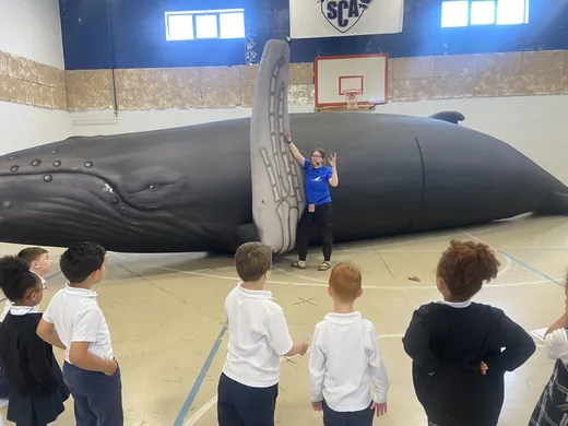 Students gathered around a life-size inflatable humpback whale during a science assembly in the gym